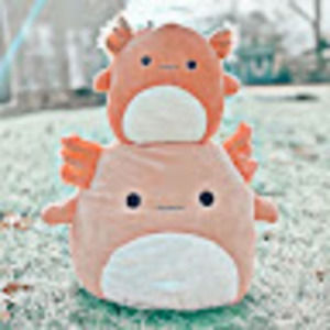 Meet your Posher, Summer